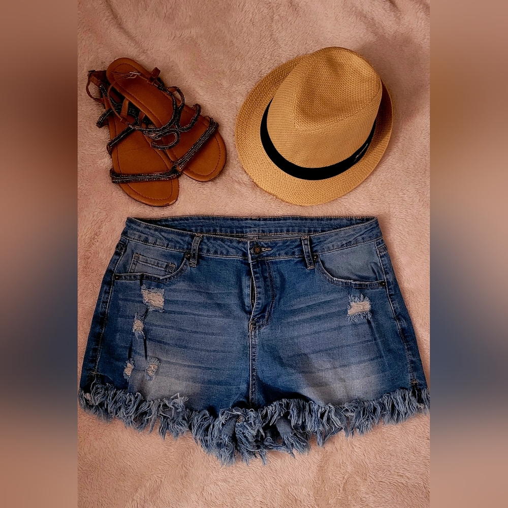 XL Stretchy High Rise Cut Off Jean Shorts